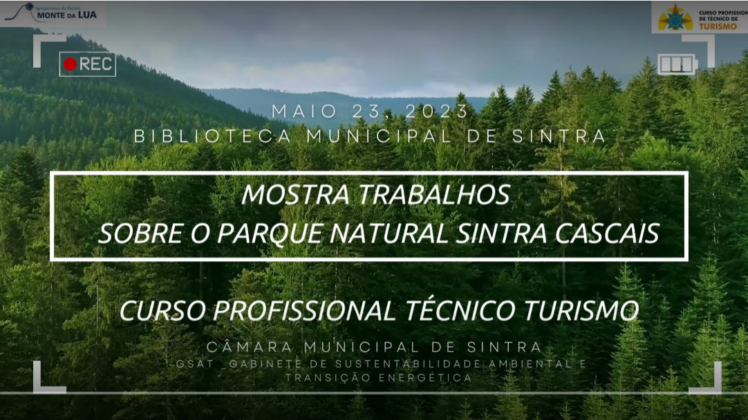 bliblioteca sintra