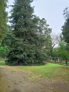 IMG20230421105736 resize