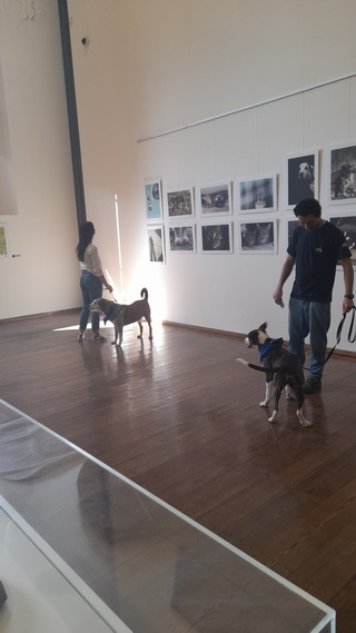 20240409 154801 resize
