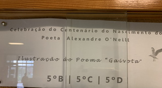 IMG 7112 resize
