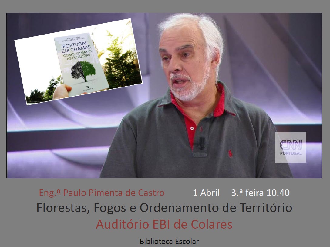 Palestra Florestas2