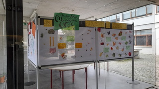 FOTO6 resize