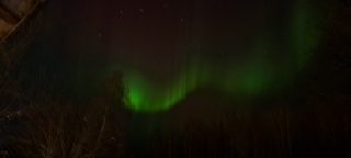20241103 230443 resize