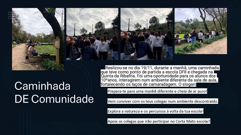 caminhada 1911 resize